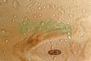 Make plywood waterproof with Woodcon