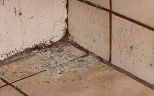 Rising damp issues in the bathroom