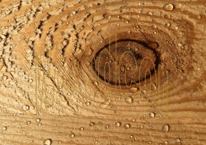 Impregnate wood with Woodcon waterproof