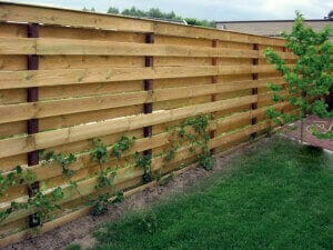 Woodcon impregnates your wooden fence.